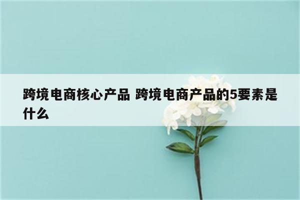 跨境电商核心产品 跨境电商产品的5要素是什么