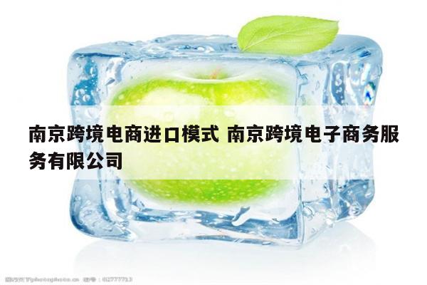 南京跨境电商进口模式 南京跨境电子商务服务有限公司