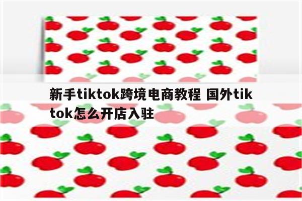 新手tiktok跨境电商教程 国外tiktok怎么开店入驻