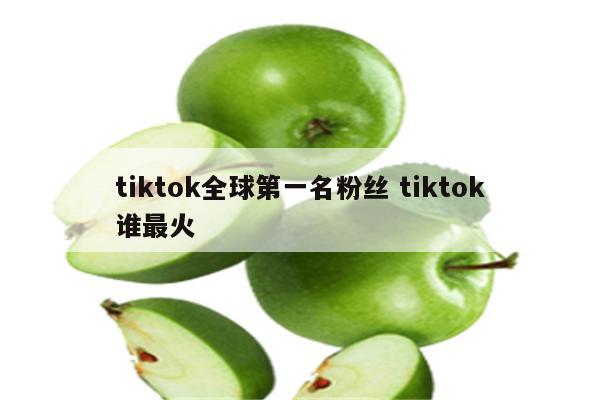 tiktok全球第一名粉丝 tiktok谁最火