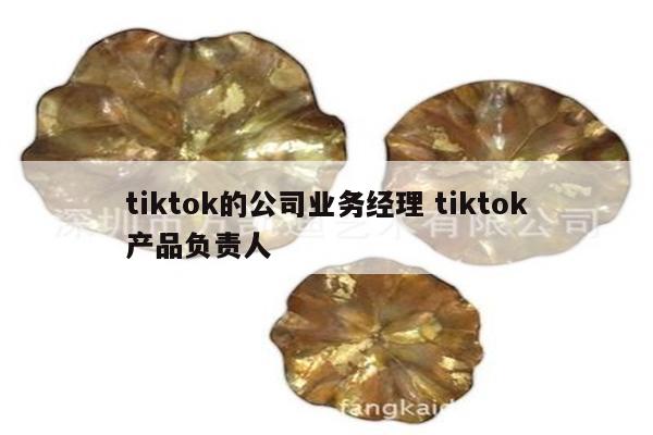 tiktok的公司业务经理 tiktok产品负责人