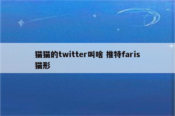 猫猫的twitter叫啥 推特faris猫形