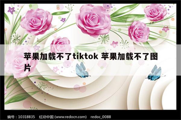 苹果加载不了tiktok 苹果加载不了图片