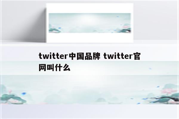 twitter中国品牌 twitter官网叫什么