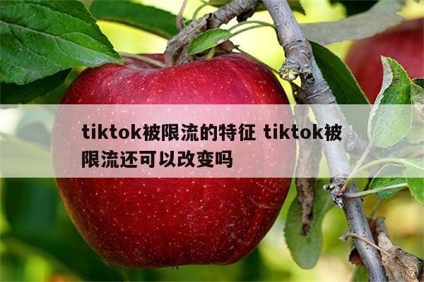 tiktok被限流的特征 tiktok被限流还可以改变吗