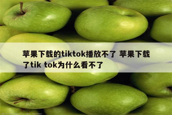 苹果下载的tiktok播放不了 苹果下载了tik tok为什么看不了