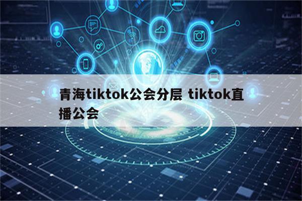 青海tiktok公会分层 tiktok直播公会