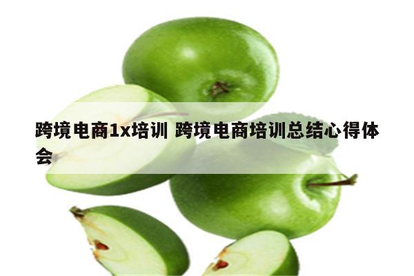跨境电商1x培训 跨境电商培训总结心得体会