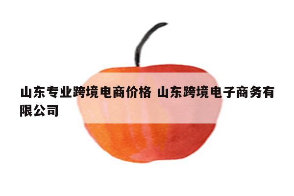 山东专业跨境电商价格 山东跨境电子商务有限公司