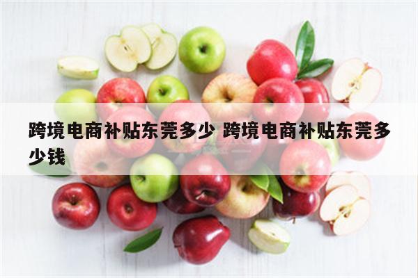 跨境电商补贴东莞多少 跨境电商补贴东莞多少钱