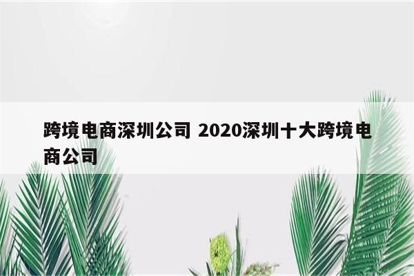 跨境电商深圳公司 2020深圳十大跨境电商公司