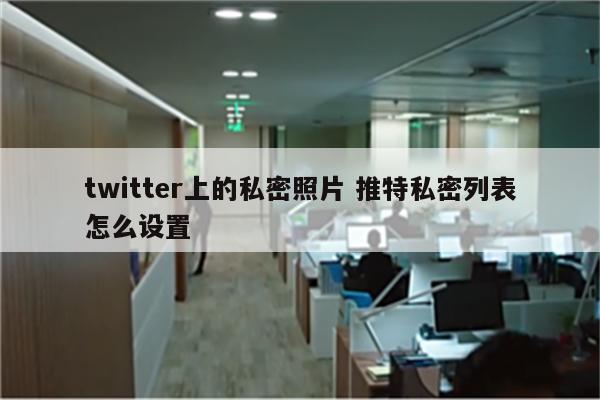 twitter上的私密照片 推特私密列表怎么设置