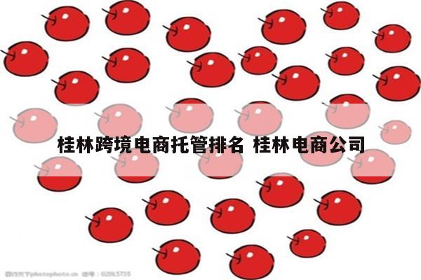 桂林跨境电商托管排名 桂林电商公司