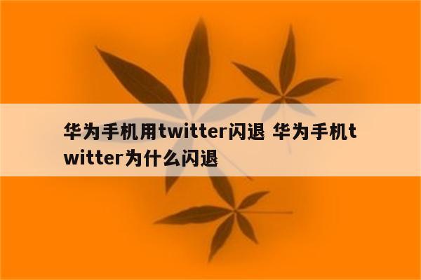 华为手机用twitter闪退 华为手机twitter为什么闪退