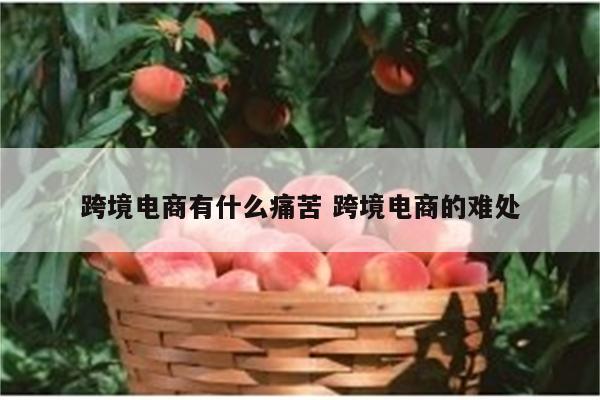 跨境电商有什么痛苦 跨境电商的难处