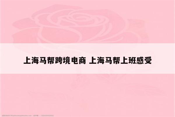 上海马帮跨境电商 上海马帮上班感受