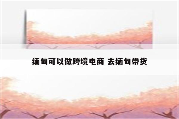 缅甸可以做跨境电商 去缅甸带货