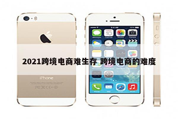 2021跨境电商难生存 跨境电商的难度