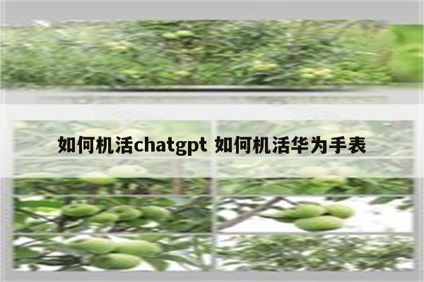 如何机活chatgpt 如何机活华为手表