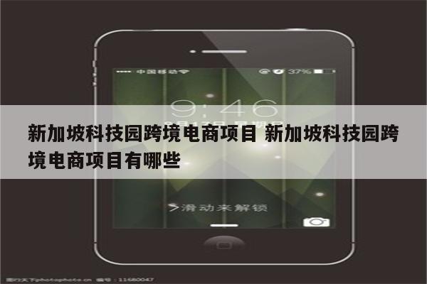 新加坡科技园跨境电商项目 新加坡科技园跨境电商项目有哪些