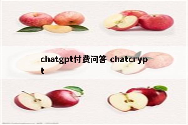 chatgpt付费问答 chatcrypt