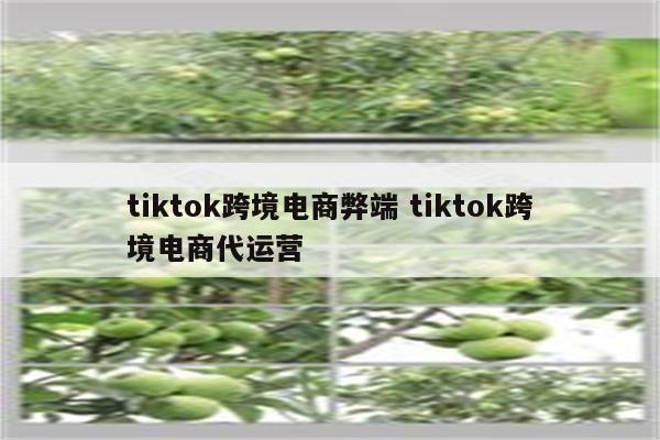 tiktok跨境电商弊端 tiktok跨境电商代运营