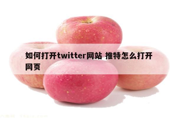 如何打开twitter网站 推特怎么打开网页