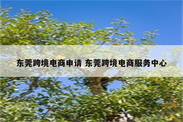 东莞跨境电商申请 东莞跨境电商服务中心