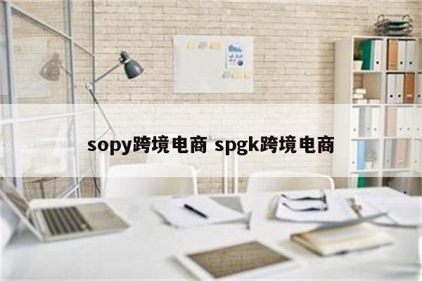 sopy跨境电商 spgk跨境电商