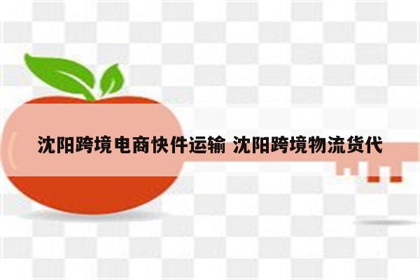 沈阳跨境电商快件运输 沈阳跨境物流货代