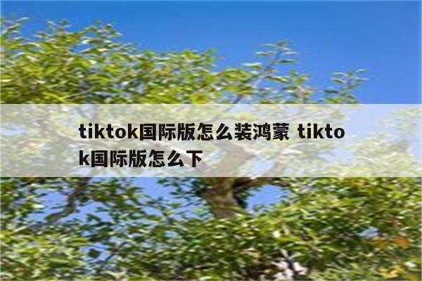tiktok国际版怎么装鸿蒙 tiktok国际版怎么下