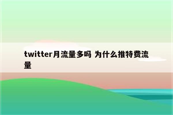 twitter月流量多吗 为什么推特费流量