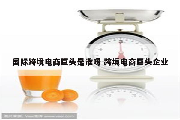 国际跨境电商巨头是谁呀 跨境电商巨头企业