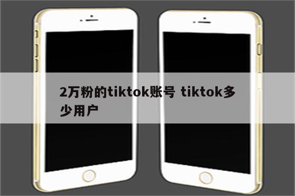 2万粉的tiktok账号 tiktok多少用户