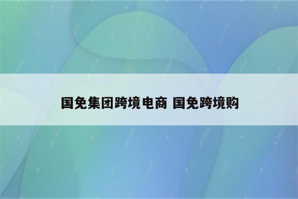 国免集团跨境电商 国免跨境购