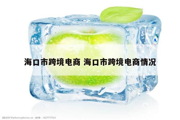 海口市跨境电商 海口市跨境电商情况