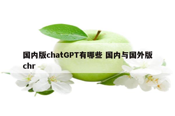 国内版chatGPT有哪些 国内与国外版chr