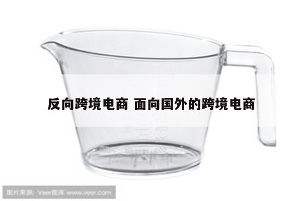 反向跨境电商 面向国外的跨境电商