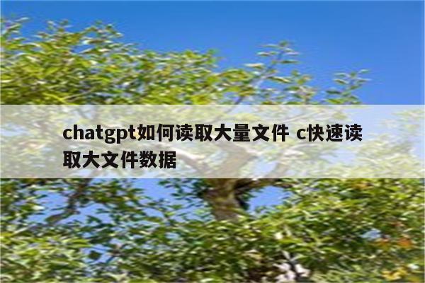 chatgpt如何读取大量文件 c快速读取大文件数据