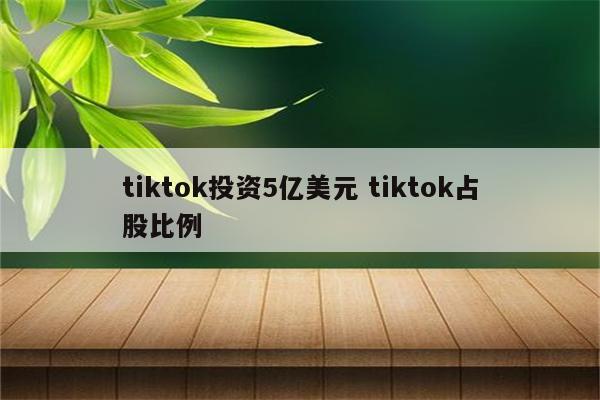 tiktok投资5亿美元 tiktok占股比例