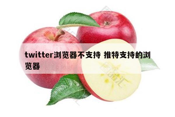 twitter浏览器不支持 推特支持的浏览器