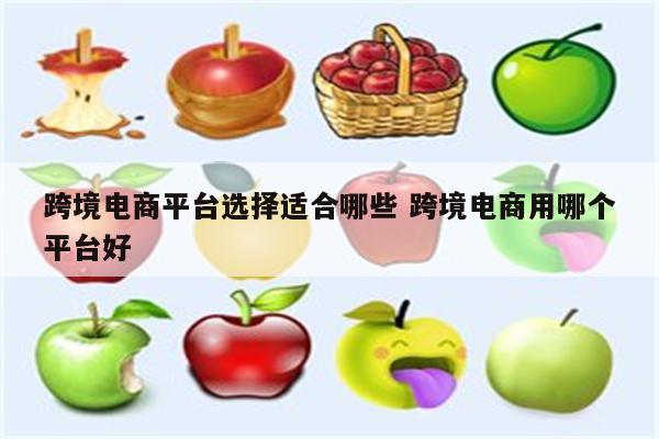 跨境电商平台选择适合哪些 跨境电商用哪个平台好
