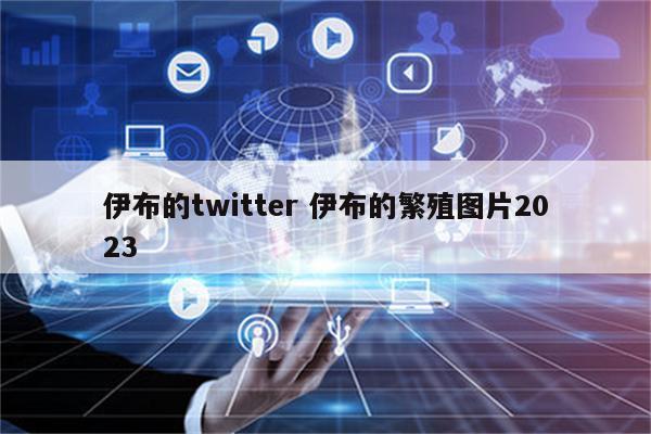 伊布的twitter 伊布的繁殖图片2023