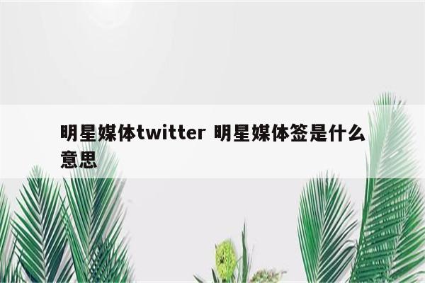 明星媒体twitter 明星媒体签是什么意思