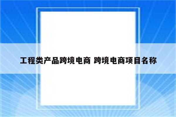 工程类产品跨境电商 跨境电商项目名称