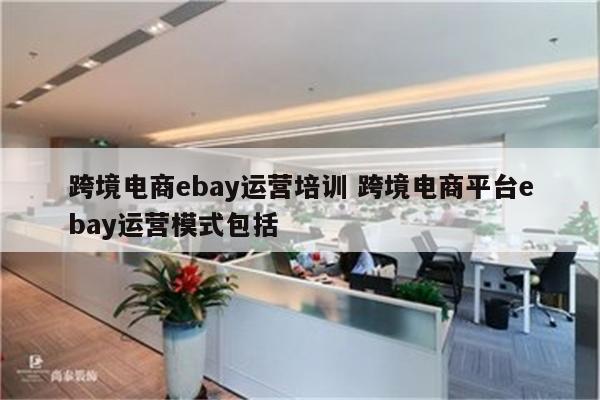 跨境电商ebay运营培训 跨境电商平台ebay运营模式包括