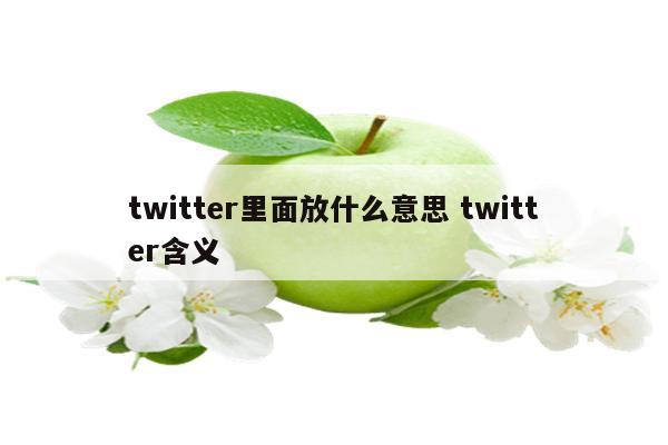 twitter里面放什么意思 twitter含义