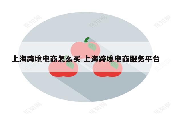 上海跨境电商怎么买 上海跨境电商服务平台