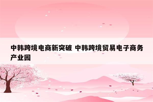 中韩跨境电商新突破 中韩跨境贸易电子商务产业园
