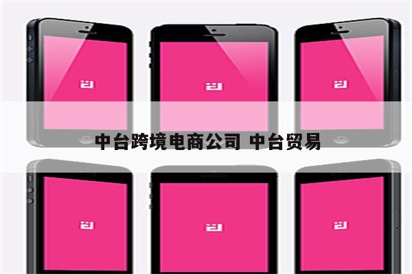 中台跨境电商公司 中台贸易